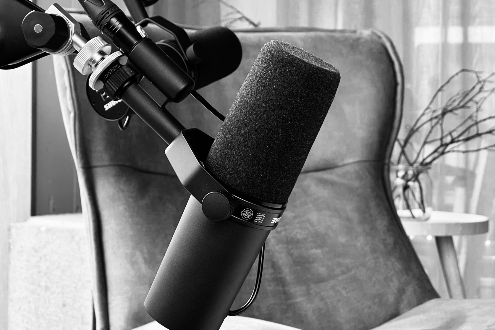 Studio microphone