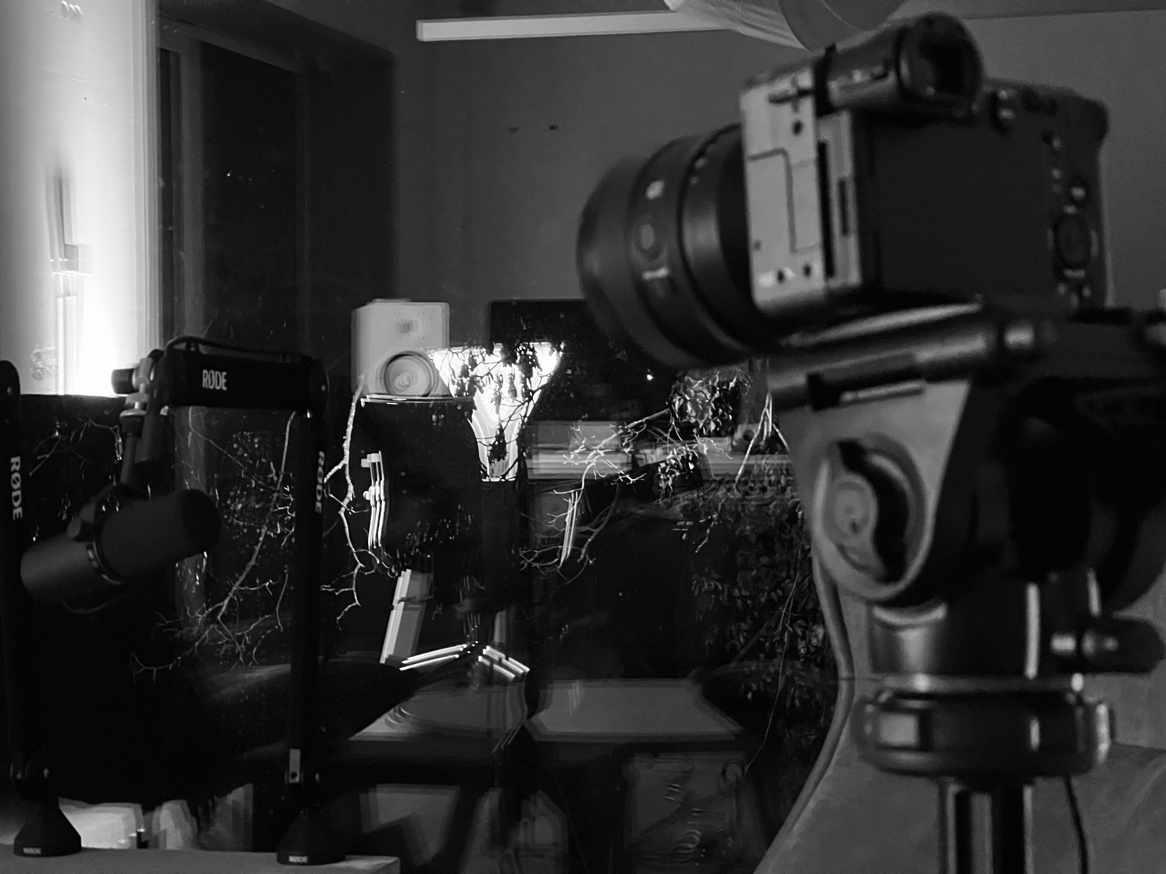 Studio reflection